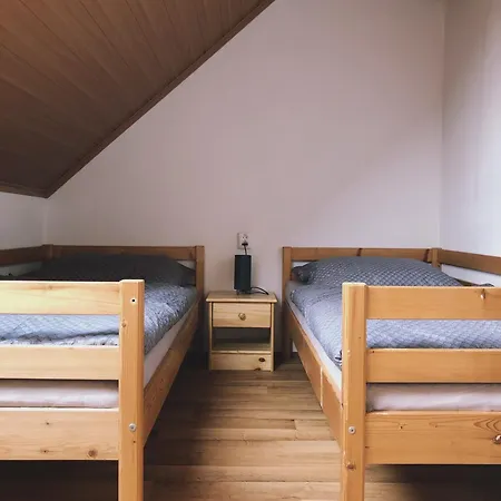 Apartment Podkrovni Bobrova Dolni Bobrova